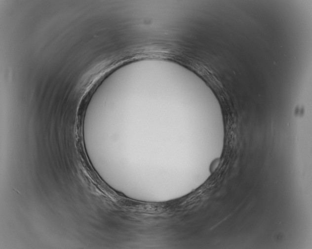 X0000112140338200908070944