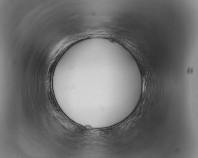 X0000112140339200908070944