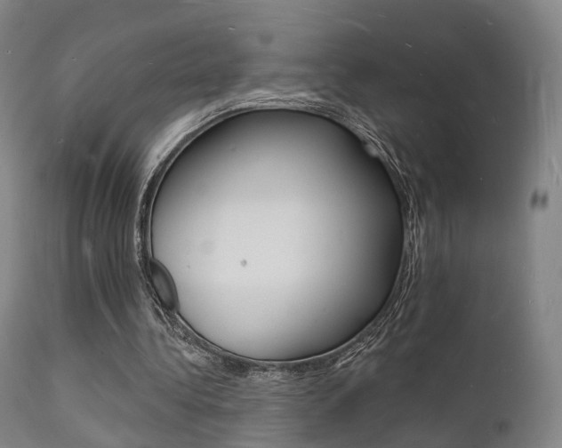 X0000112140340200908070944