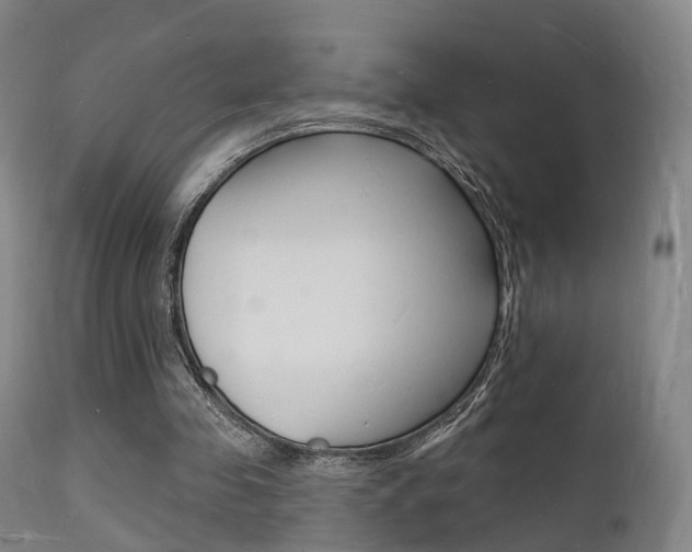 X0000112140341200908070944