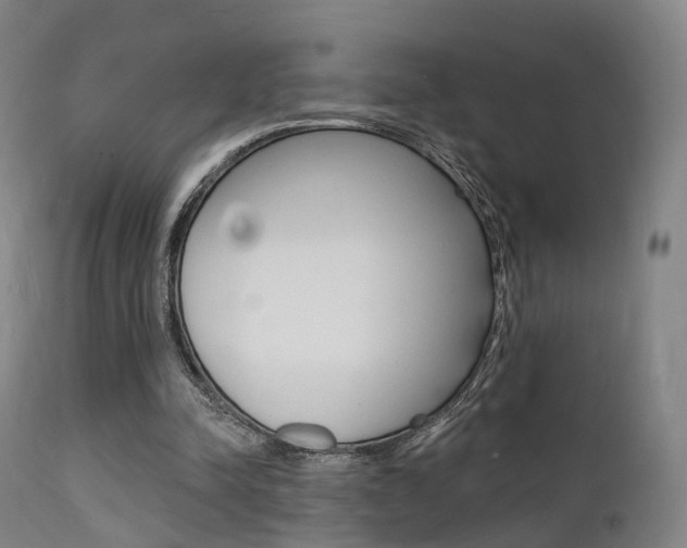X0000112140342200908070944