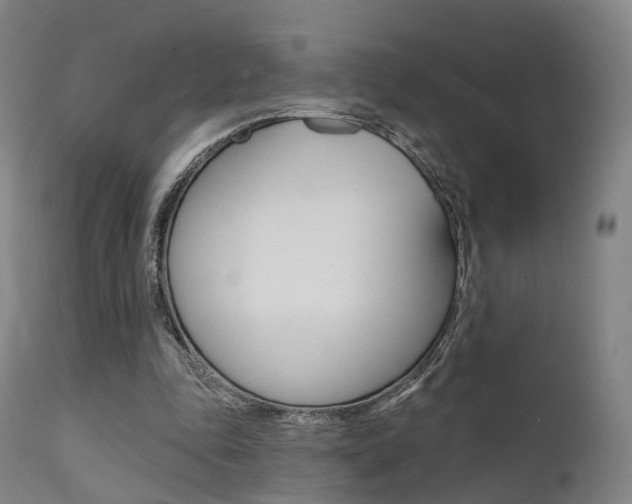 X0000112140343200908070944