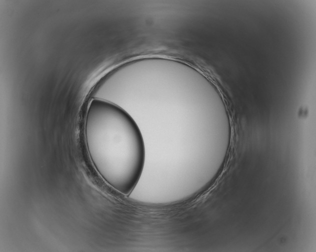 X0000112140344200908070944