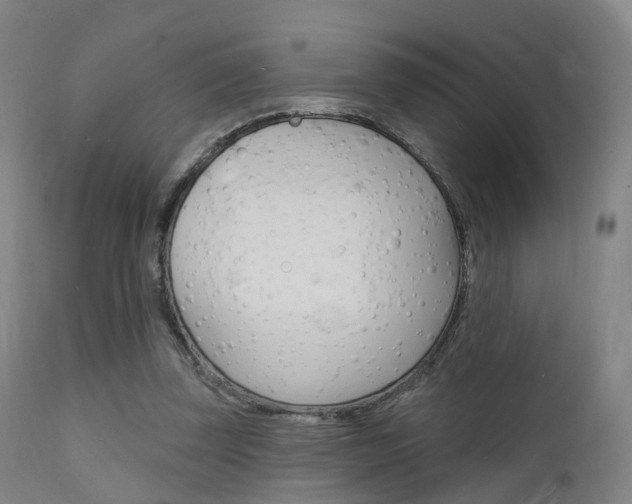 X0000112140347200908070944