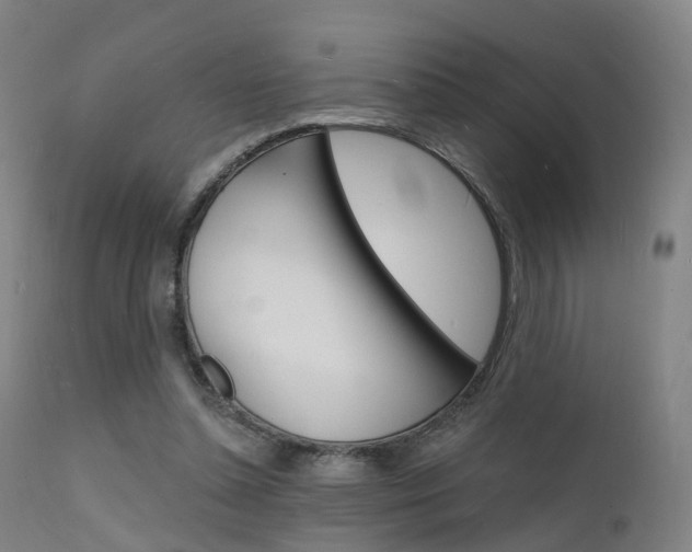 X0000112140348200908070944