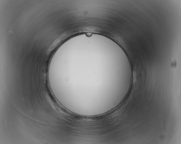 X0000112140349200908070944