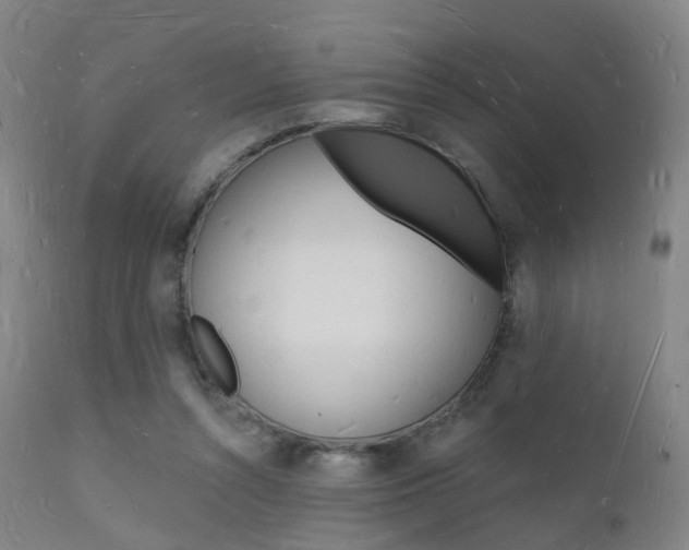 X0000112140352200908070944