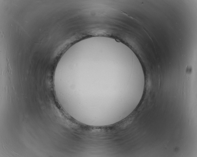 X0000112140353200908070944