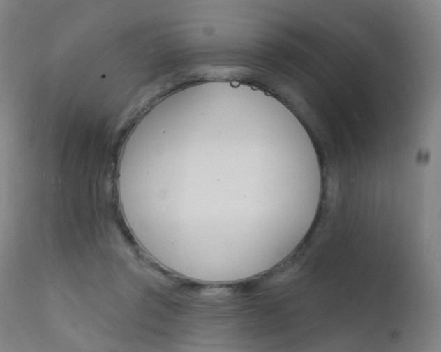 X0000112140357200908070944