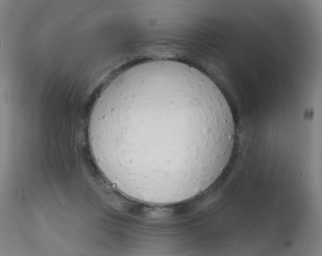 X0000112140359200908070945