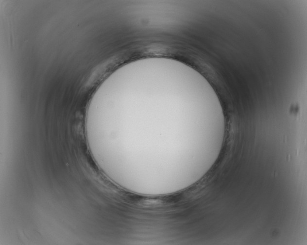 X0000112140361200908070945