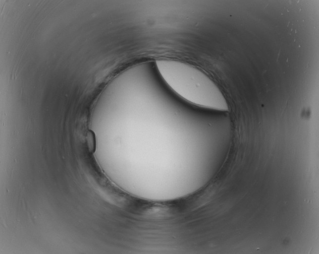X0000112140364200908070945