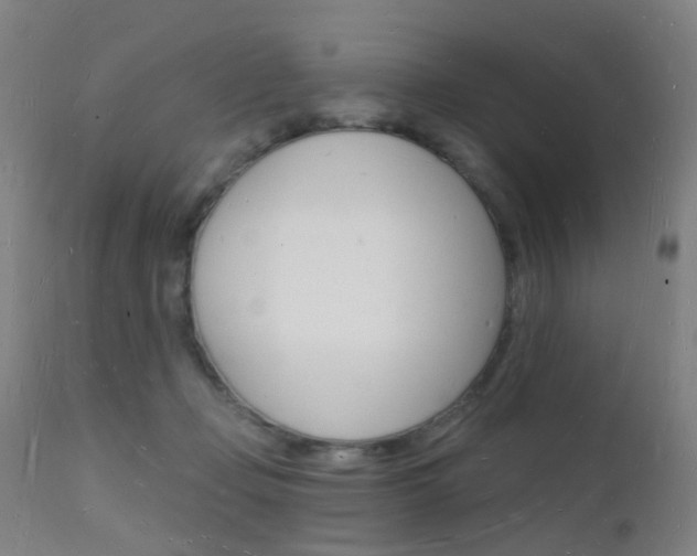X0000112140365200908070945