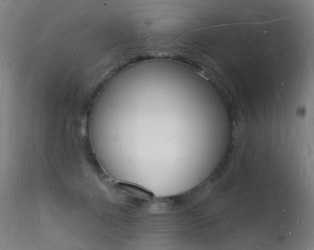 X0000112140368200908070945