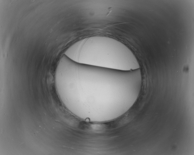 X0000112140371200908070945