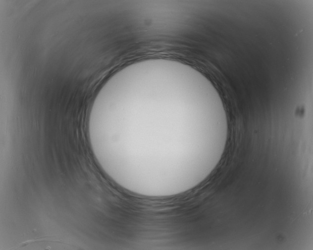 X0000112140372200908070945