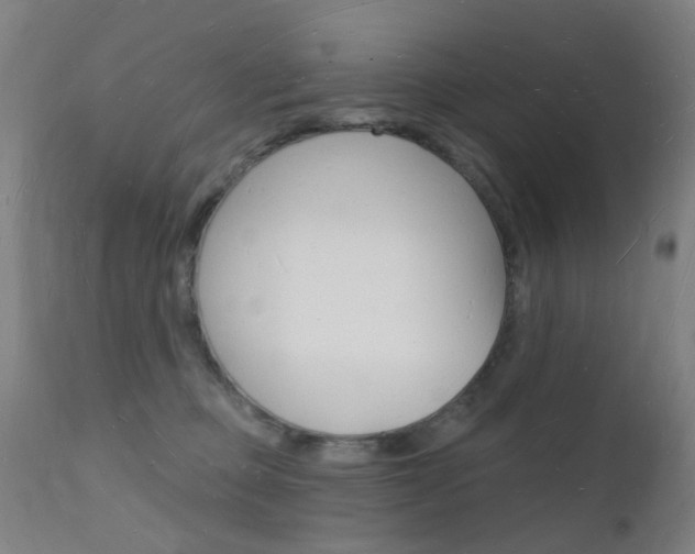 X0000112140373200908070945