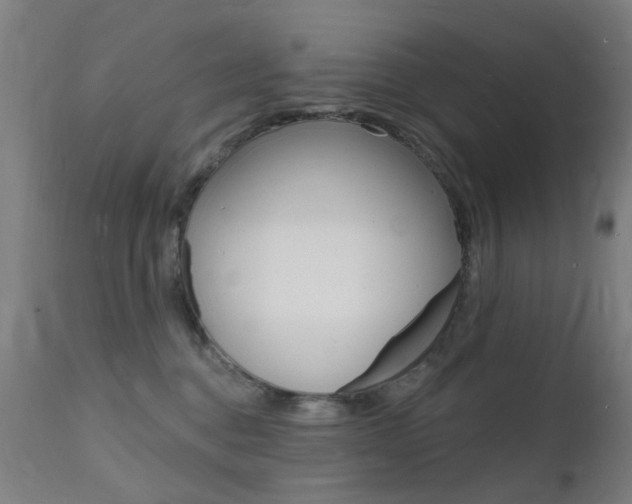 X0000112140376200908070945