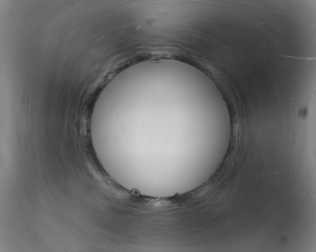 X0000112140379200908070945