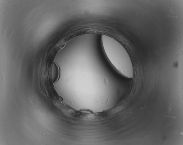 X0000112140382200908070945