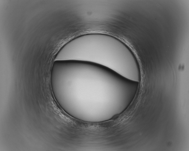 X0000112140385200908070944