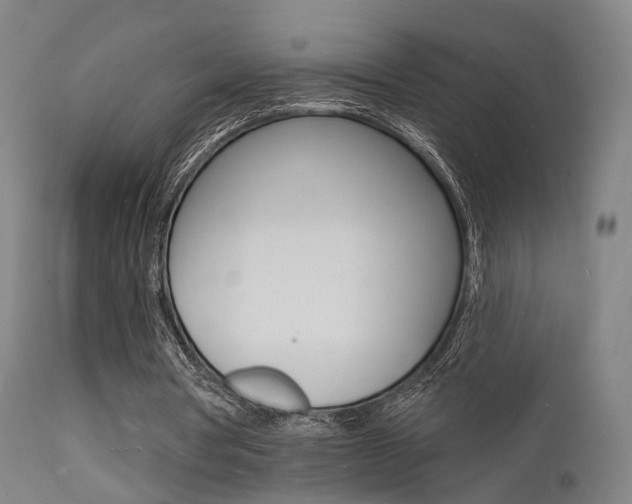 X0000112140386200908070944