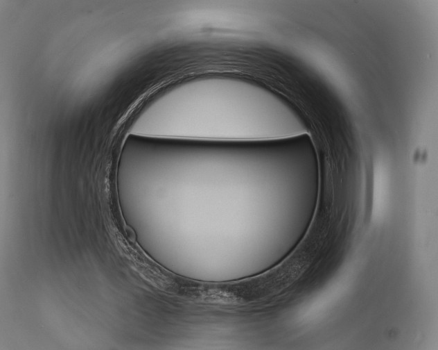 X0000112140387200908070944