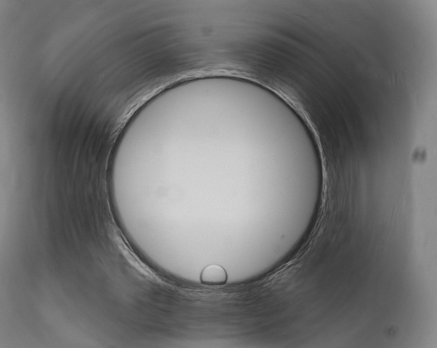 X0000112140389200908070944