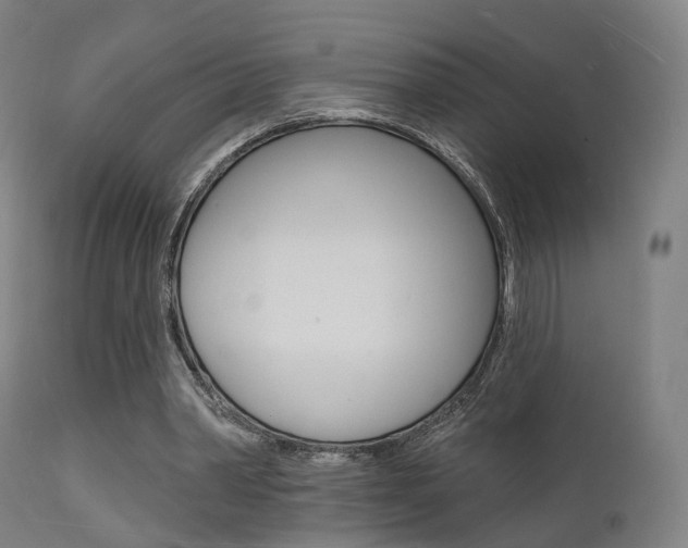 X0000112140390200908070944