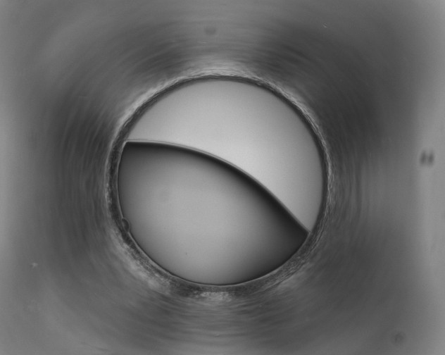 X0000112140391200908070944