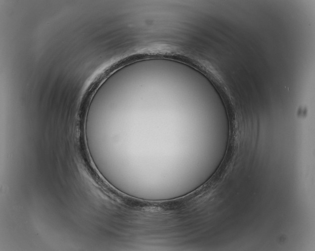 X0000112140392200908070944