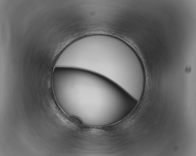 X0000112140393200908070944
