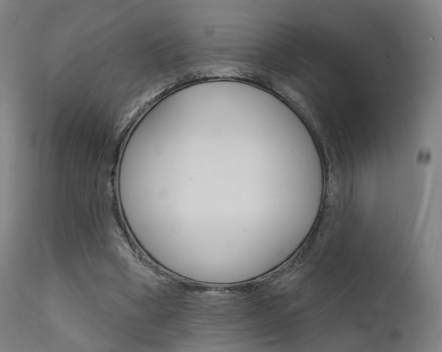 X0000112140394200908070944