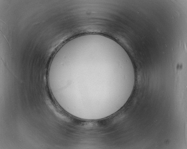 X0000112140398200908070944