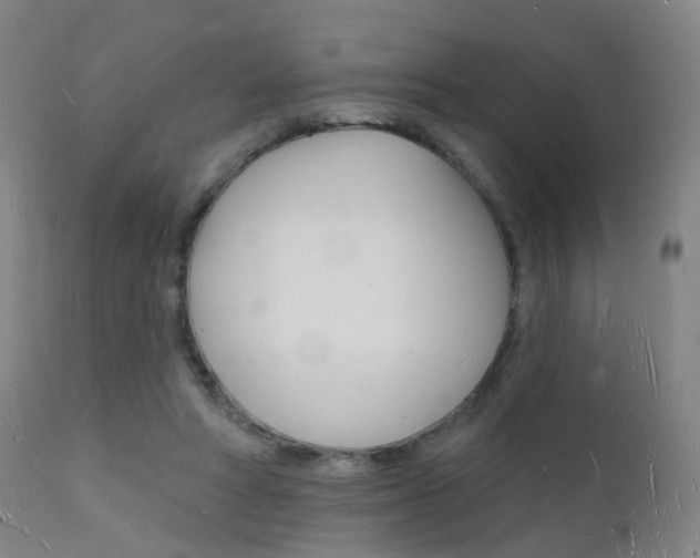 X0000112140402200908070944