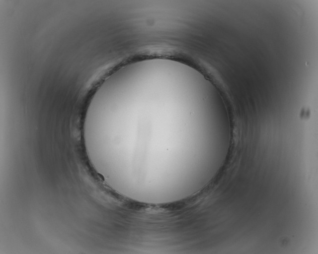 X0000112140403200908070944