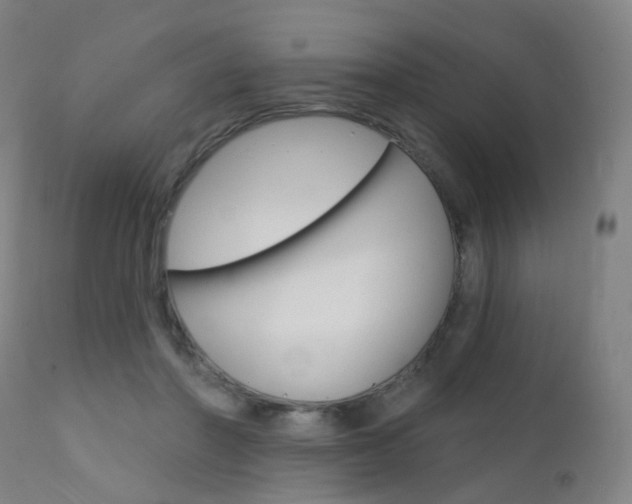 X0000112140406200908070944