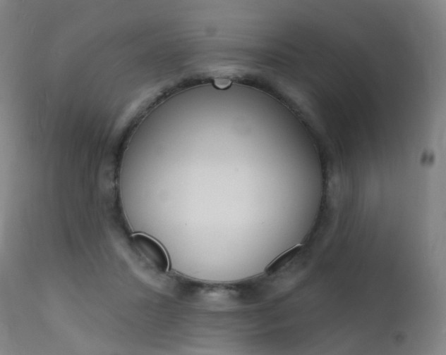 X0000112140407200908070944
