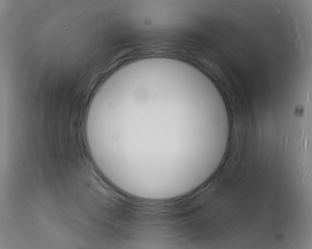 X0000112140409200908070944