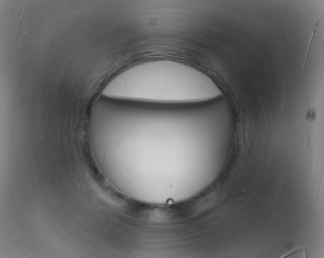X0000112140412200908070944