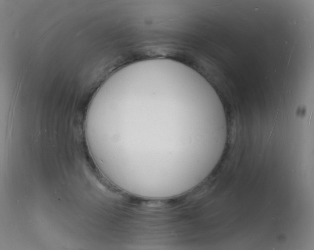 X0000112140414200908070944