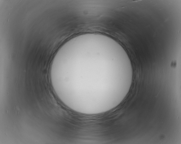 X0000112140415200908070944