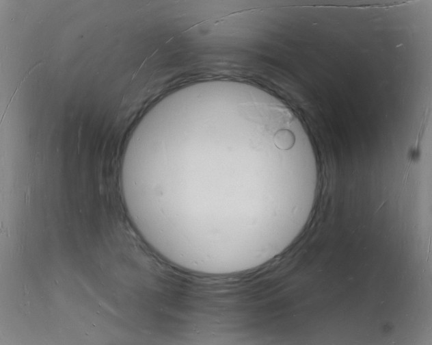 X0000112140417200908070944