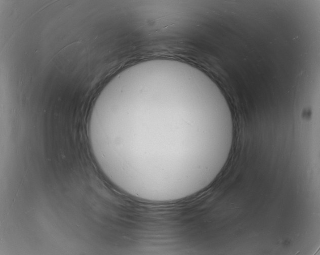 X0000112140419200908070944