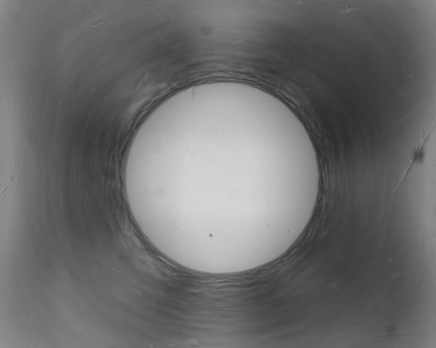 X0000112140423200908070943