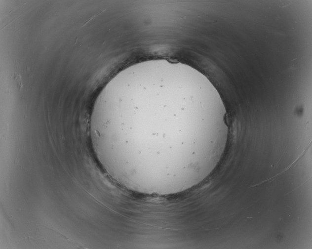 X0000112140424200908070943