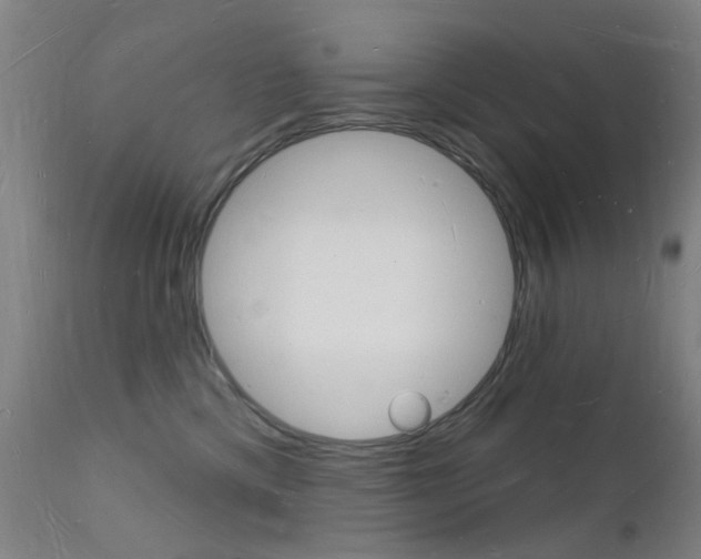 X0000112140425200908070943