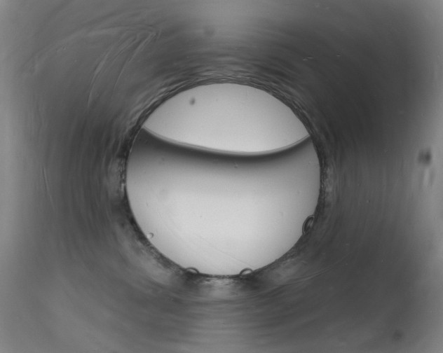 X0000112140428200908070943