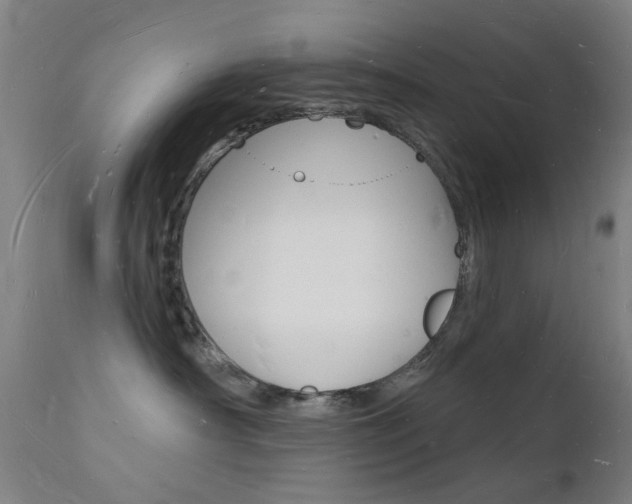 X0000112140430200908070943
