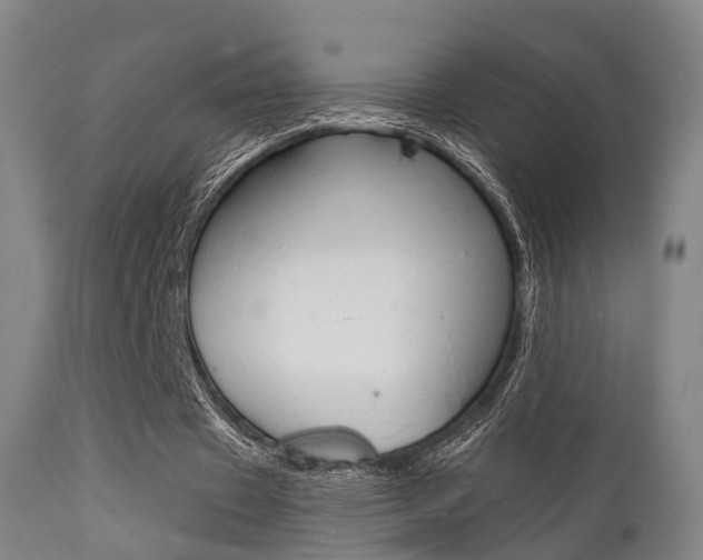 X0000112140433200908070942